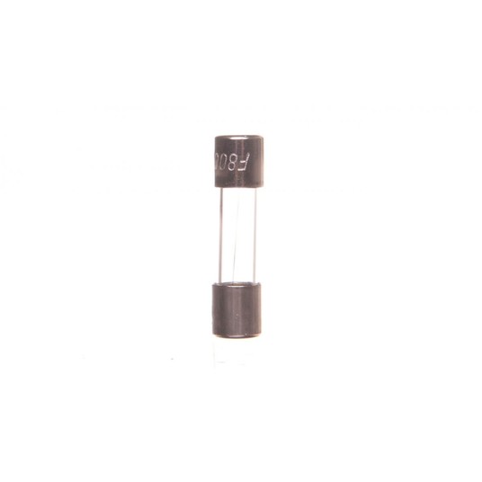 Wkładka aparatowa 5x20mm 800mA F /szybka/ 250V 006 -zdjęcie numer 1